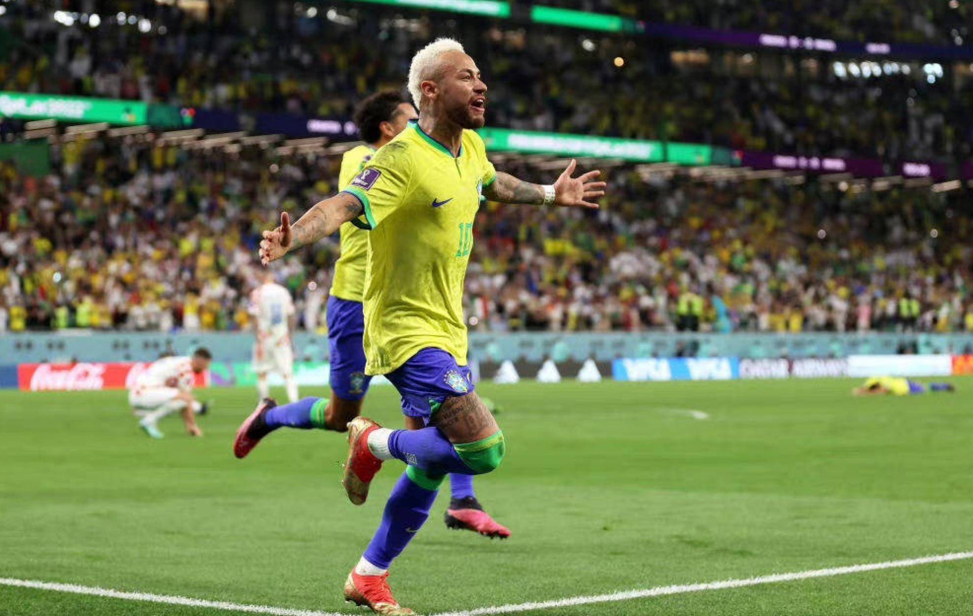 网的中坚力 网的中坚力